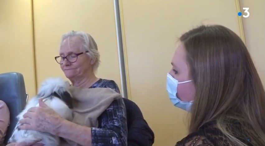 Des visites au poil : quand la médiation animale redonne le sourire aux résidents d'un Ehpad de Dole